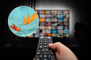 collage tv e foglie autunnali